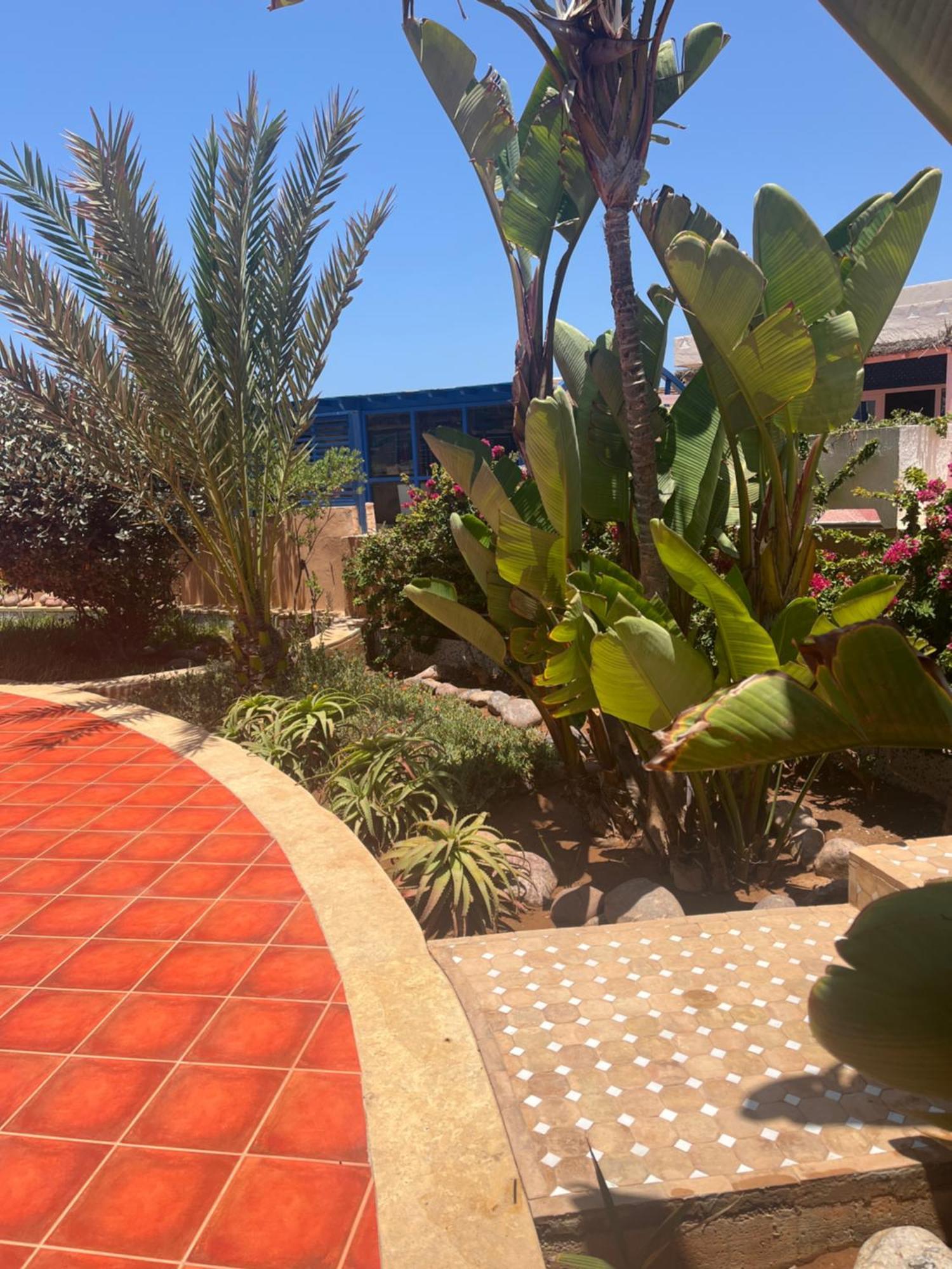 Mimid Dunes Beach Hotel Mirleft Buitenkant foto